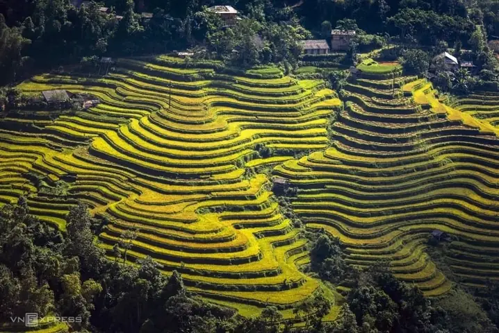 Hoàng Su Phì Thuộc Tỉnh Nào? Thông Tin Chi Tiết Về Địa Lý, Hành Chính Và Du Lịch Hoàng Su Phì Thuộc Tỉnh Nào? Thông Tin Chi Tiết Về Địa Lý, Hành Chính Và Du Lịch
