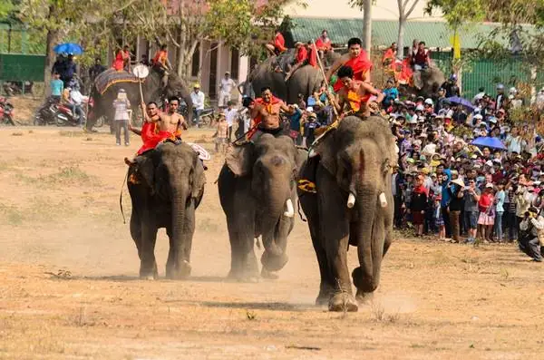 Lễ Hội Đua Voi Buôn Đôn: Khám Phá Nét Văn Hóa Độc Đáo Của Tây Nguyên 35 Lễ Hội Đua Voi Buôn Đôn: Khám Phá Nét Văn Hóa Độc Đáo Của Tây Nguyên