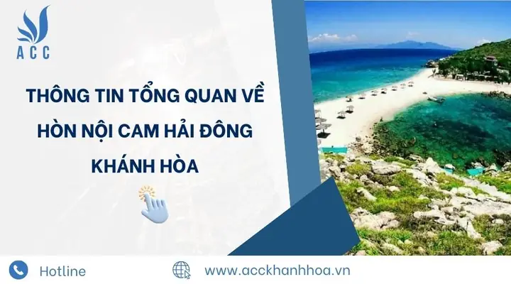Khám Phá Đảo Yến Hòn Nội Khánh Hòa: Bãi Tắm Đôi Độc Đáo & Kinh Nghiệm Du Lịch