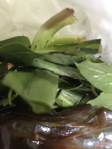 Hủ Tiếu Bò Viên Nơ Trang Long: Địa Chỉ, Đánh Giá & Kinh Nghiệm Ăn Ngon Hủ Tiếu Bò Viên Nơ Trang Long: Địa Chỉ, Đánh Giá & Kinh Nghiệm Ăn Ngon