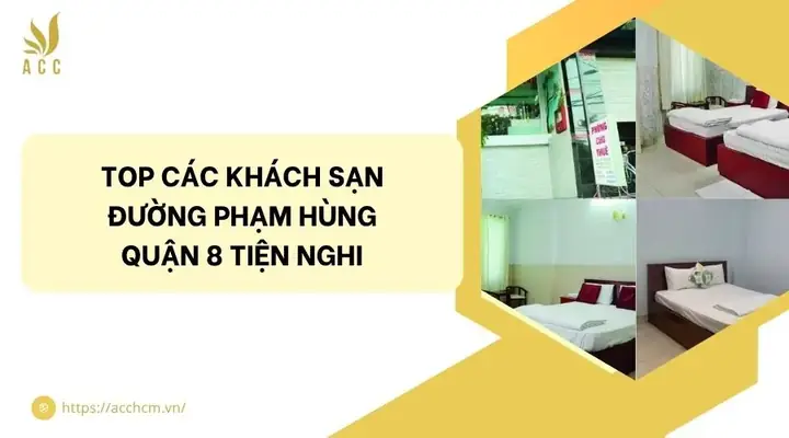Top Khách Sạn Đường Phạm Hùng Quận 8: Review, Giá Cả & Tiện Ích