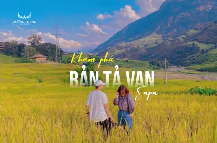 Top Khách Sạn & Homestay Tả Van Sapa: Kinh Nghiệm Chọn Chỗ Nghỉ Lý Tưởng Top Khách Sạn & Homestay Tả Van Sapa: Kinh Nghiệm Chọn Chỗ Nghỉ Lý Tưởng
