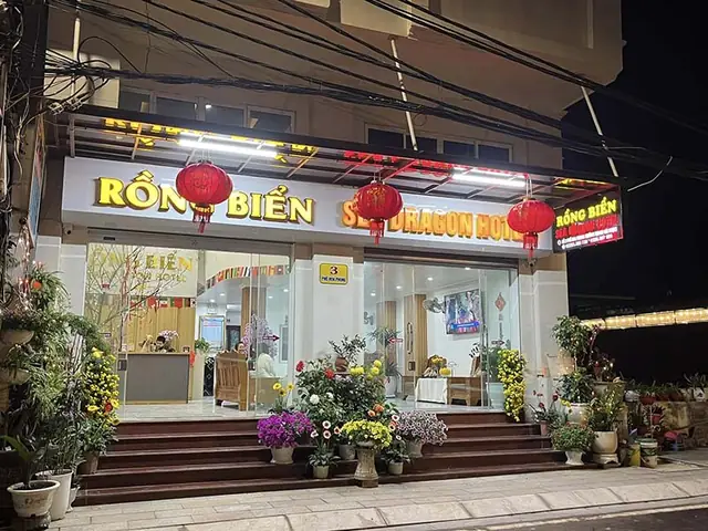 Khách Sạn Rồng Biển Cát Bà: Thông Tin Chi Tiết, Đánh Giá & Kinh Nghiệm Đặt Phòng