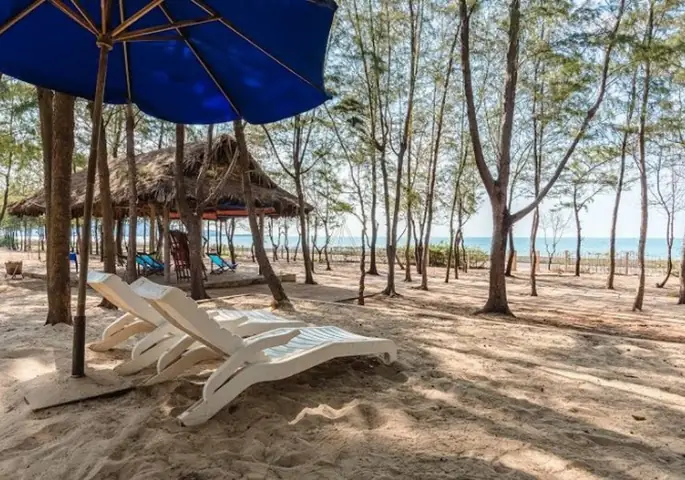 Top 15+ Khu Cắm Trại Vũng Tàu "xịn Sò" - Trải Nghiệm Thiên Nhiên Tuyệt Vời Top 15+ Khu Cắm Trại Vũng Tàu "xịn Sò" - Trải Nghiệm Thiên Nhiên Tuyệt Vời