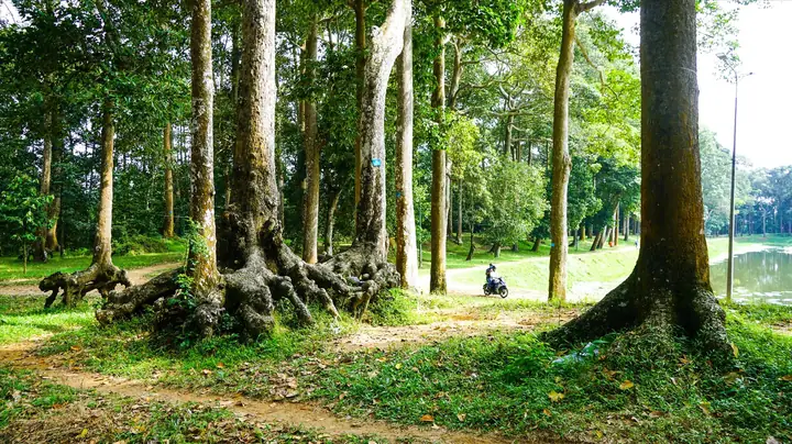 Ao Bà Om Trà Vinh: Khám Phá Di Tích Lịch Sử Văn Hóa & Điểm Du Lịch Hấp Dẫn