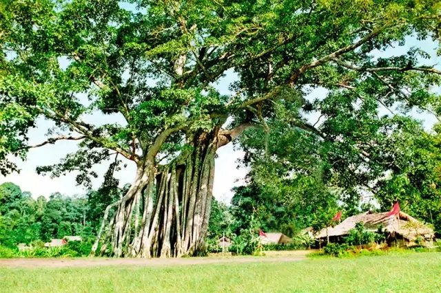 Khu Di Tích Tân Trào Tuyên Quang: Lịch Sử, Địa Điểm Và Kinh Nghiệm Du Lịch Khu Di Tích Tân Trào Tuyên Quang: Lịch Sử, Địa Điểm Và Kinh Nghiệm Du Lịch