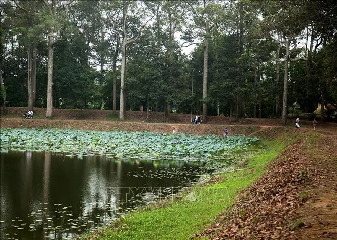 Ao Bà Om Trà Vinh: Khám Phá Di Tích Lịch Sử, Vẻ Đẹp Thiên Nhiên Và Văn Hóa Khmer Độc Đáo