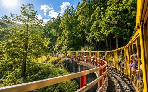 Khám Phá Núi Đại Bình Bảo Lộc: Kinh Nghiệm A-z Cho Dân Mê Trekking Và Săn Mây Khám Phá Núi Đại Bình Bảo Lộc: Kinh Nghiệm A-z Cho Dân Mê Trekking Và Săn Mây