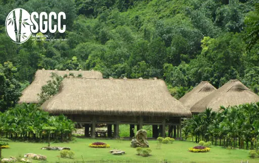 Khám Phá Khu Du Lịch Sinh Thái Thung Nham Ninh Bình: Kinh Nghiệm Chi Tiết & Trải Nghiệm Độc Đáo