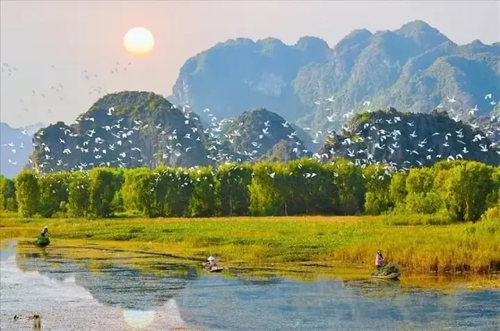 Khám Phá Khu Du Lịch Sinh Thái Thung Nham Ninh Bình: Kinh Nghiệm Chi Tiết & Trải Nghiệm Độc Đáo
