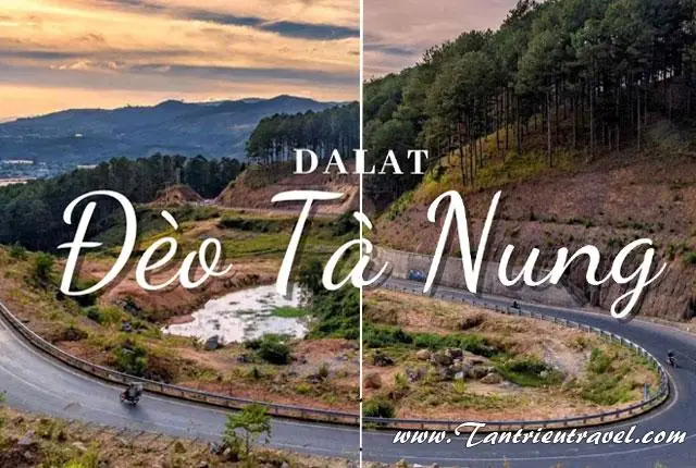 Khám Phá Cung Đường Tà Nung Đà Lạt: Trọn Bộ Điểm Check-in & Trải Nghiệm Hấp Dẫn 21 Khám Phá Cung Đường Tà Nung Đà Lạt: Trọn Bộ Điểm Check-in & Trải Nghiệm Hấp Dẫn
