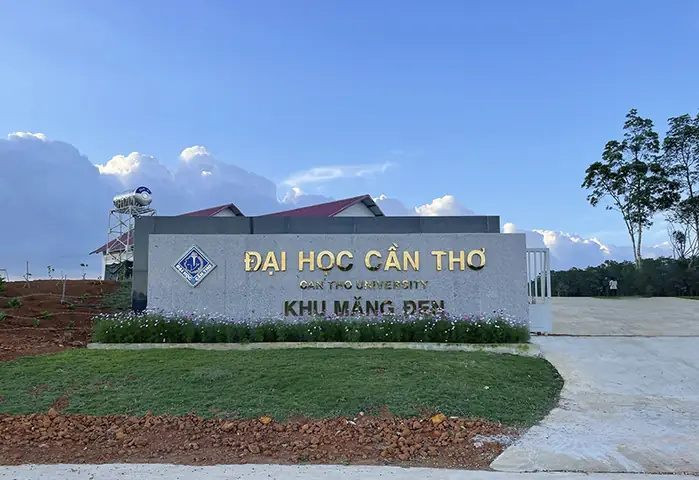 Khu Măng Đen Đại Học Cần Thơ: Thông Tin Chi Tiết, Mục Đích Và Những Vấn Đề Liên Quan 96 Khu Măng Đen Đại Học Cần Thơ: Thông Tin Chi Tiết, Mục Đích Và Những Vấn Đề Liên Quan