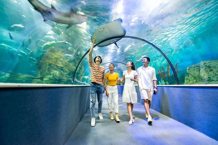 Khu Vui Chơi Mới Ở Hà Nội: Khám Phá Điểm Đến Hấp Dẫn Nhất Cho Gia Đình Và Trẻ Em