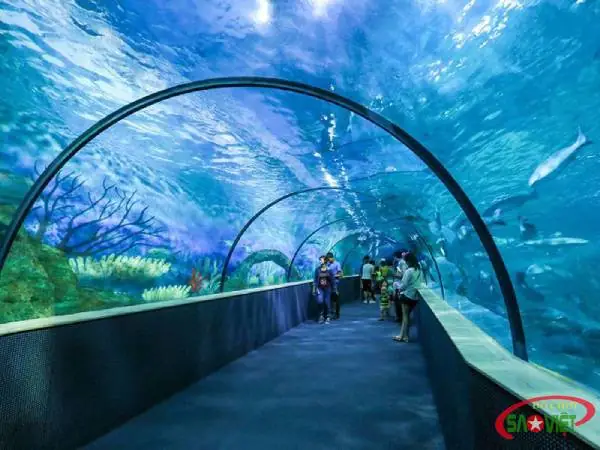 Kinh Nghiệm Đi Chơi Ở Times City: Khám Phá Thủy Cung, Vinke Và Các Điểm Vui Chơi Hấp Dẫn