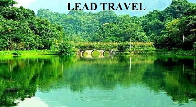 Kinh Nghiệm Du Lịch Cúc Phương Chi Tiết: Từ A-z Cho Trải Nghiệm Trọn Vẹn 30 Kinh Nghiệm Du Lịch Cúc Phương Chi Tiết: Từ A-z Cho Trải Nghiệm Trọn Vẹn