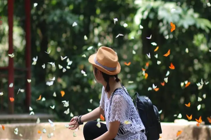 Kinh Nghiệm Du Lịch Cúc Phương Chi Tiết: Từ A-z Cho Trải Nghiệm Trọn Vẹn Kinh Nghiệm Du Lịch Cúc Phương Chi Tiết: Từ A-z Cho Trải Nghiệm Trọn Vẹn