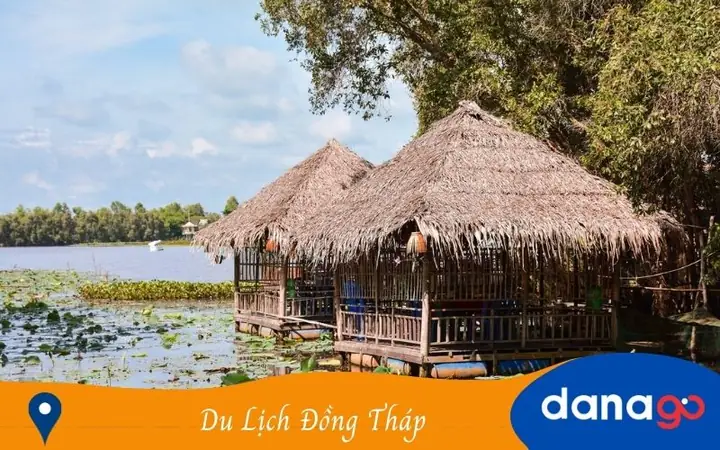 Kinh Nghiệm Du Lịch Đồng Tháp Tự Túc: Ăn Gì, Chơi Gì, Ở Đâu 2024