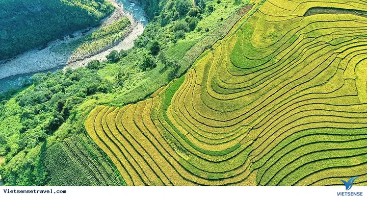 Kinh Nghiệm Du Lịch Y Tý Lào Cai: Cẩm Nang Chi Tiết A-z 2026