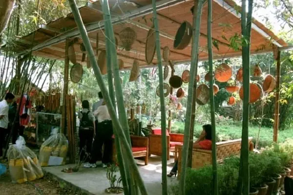 Làng Tre Phú An: Giá Vé, Kinh Nghiệm Du Lịch Và Địa Điểm Check-in Hấp Dẫn 84 Làng Tre Phú An: Giá Vé, Kinh Nghiệm Du Lịch Và Địa Điểm Check-in Hấp Dẫn