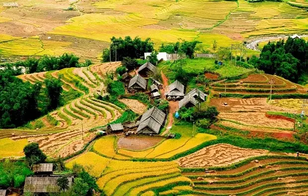 Lao Chải Tả Van Có Gì? Khám Phá Vẻ Đẹp & Trải Nghiệm Hấp Dẫn Ở Sapa Lao Chải Tả Van Có Gì? Khám Phá Vẻ Đẹp & Trải Nghiệm Hấp Dẫn Ở Sapa