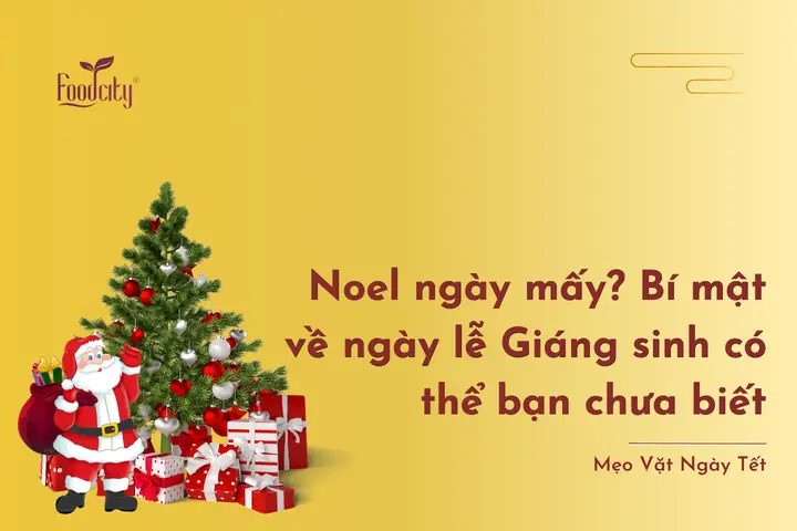 Noel Ngày Mấy Tháng Mấy? Lễ Giáng Sinh 25/12 Và Đêm Vọng 24/12