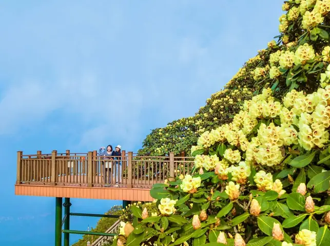 Leo Fansipan Mùa Nào Đẹp Nhất Để Có Trải Nghiệm Tuyệt Vời?