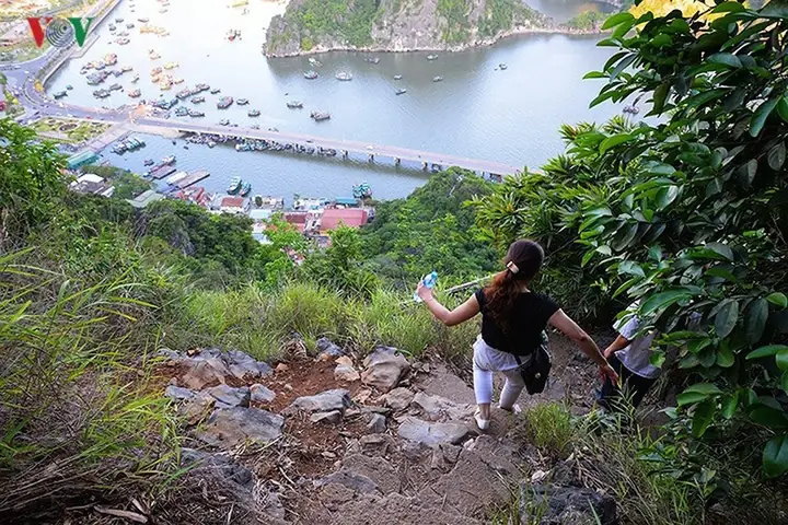 Núi Bài Thơ Hạ Long: Vì Sao Bị Cấm Leo & Những Điều Cần Biết Năm 2026 Núi Bài Thơ Hạ Long: Vì Sao Bị Cấm Leo & Những Điều Cần Biết Năm 2026