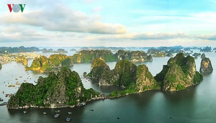 Núi Bài Thơ Hạ Long: Vì Sao Bị Cấm Leo & Những Điều Cần Biết Năm 2026 Núi Bài Thơ Hạ Long: Vì Sao Bị Cấm Leo & Những Điều Cần Biết Năm 2026