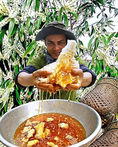 Mật Ong Rừng U Minh Hạ: Khám Phá Đặc Sản Nguyên Chất & Giá Trị Độc Đáo