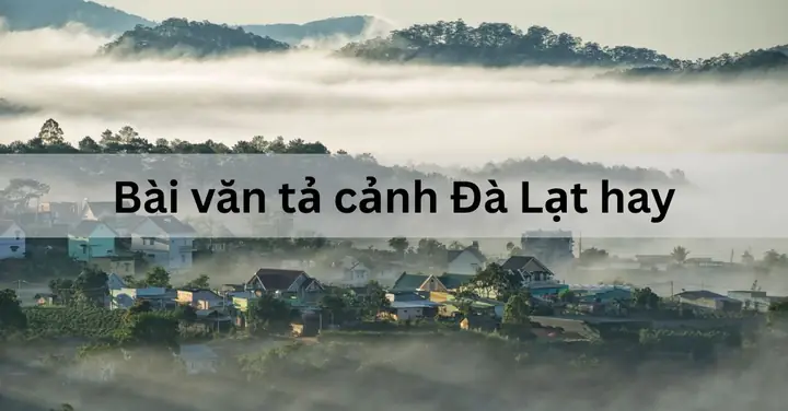 Đà Lạt: Khám Phá Vẻ Đẹp, Khí Hậu Và Những Điểm Đặc Trưng Của Thành Phố Mộng Mơ