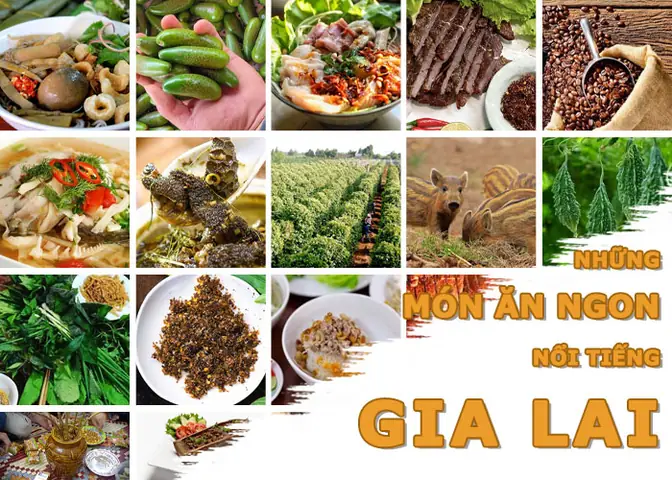 Khám Phá Các Món Đặc Sản Gia Lai Ngon Nức Tiếng, Thích Hợp Mua Làm Quà Khám Phá Các Món Đặc Sản Gia Lai Ngon Nức Tiếng, Thích Hợp Mua Làm Quà
