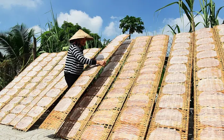 Mua Bánh Tráng Phơi Sương Ở Đâu Ngon, Chuẩn Vị, Giá Tốt?