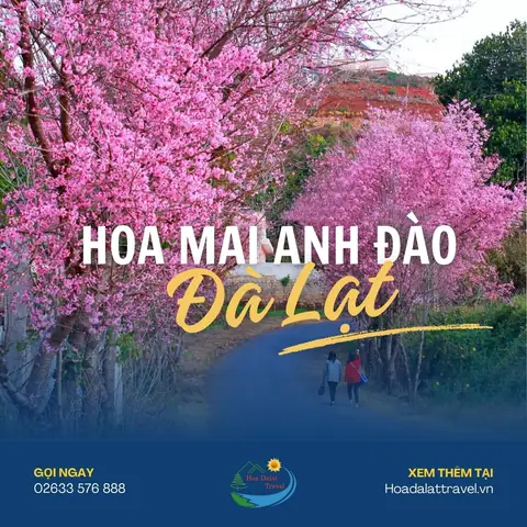 Mua Hoa Tulip Đà Lạt: Địa Điểm, Giá Cả Và Cách Chọn Mua Chuẩn Vườn Mua Hoa Tulip Đà Lạt: Địa Điểm, Giá Cả Và Cách Chọn Mua Chuẩn Vườn
