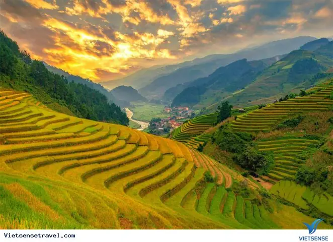 Sapa Mùa Lúa Chín Vào Tháng Mấy? Khám Phá Thời Điểm Đẹp Nhất Và Địa Điểm Lý Tưởng