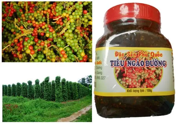 Mua Tiêu Ngào Đường Phú Quốc Ở Đâu Ngon, Uy Tín Nhất? Mua Tiêu Ngào Đường Phú Quốc Ở Đâu Ngon, Uy Tín Nhất?