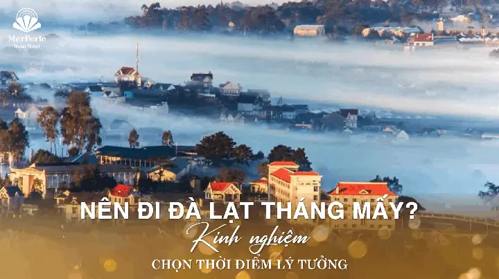 Nên Đi Đà Lạt Mấy Ngày Là Đủ? Lịch Trình Lý Tưởng Cho Mọi Ký Nghỉ Nên Đi Đà Lạt Mấy Ngày Là Đủ? Lịch Trình Lý Tưởng Cho Mọi Ký Nghỉ