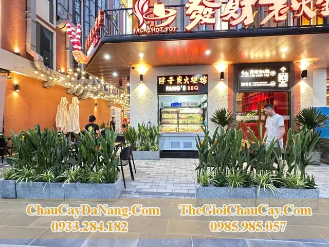 Nhà Hàng Cây Cảnh Nha Trang: Review, Thực Đơn & Địa Chỉ Quán Ngon 18 Nhà Hàng Cây Cảnh Nha Trang: Review, Thực Đơn & Địa Chỉ Quán Ngon