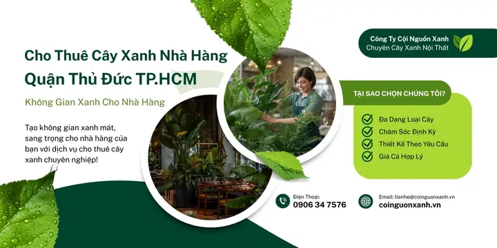 Top 15+ Nhà Hàng Sang Trọng & Nổi Tiếng Nhất Thủ Đức (view Đẹp, Phòng Riêng) Top 15+ Nhà Hàng Sang Trọng & Nổi Tiếng Nhất Thủ Đức (view Đẹp, Phòng Riêng)