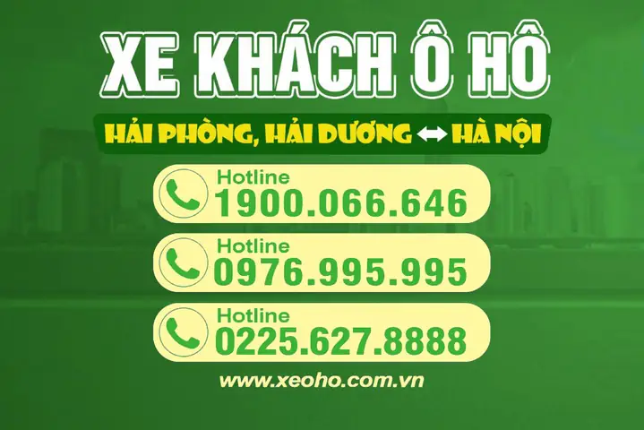 Nhà Xe Ô Hô Hải Dương: Lịch Trình, Giá Vé & Thông Tin Liên Hệ Mới Nhất 2024 71 Nhà Xe Ô Hô Hải Dương: Lịch Trình, Giá Vé & Thông Tin Liên Hệ Mới Nhất 2024