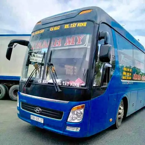 Nhà Xe Thanh Mỹ Cà Mau: Số Điện Thoại, Lịch Trình Và Giá Vé Chi Tiết