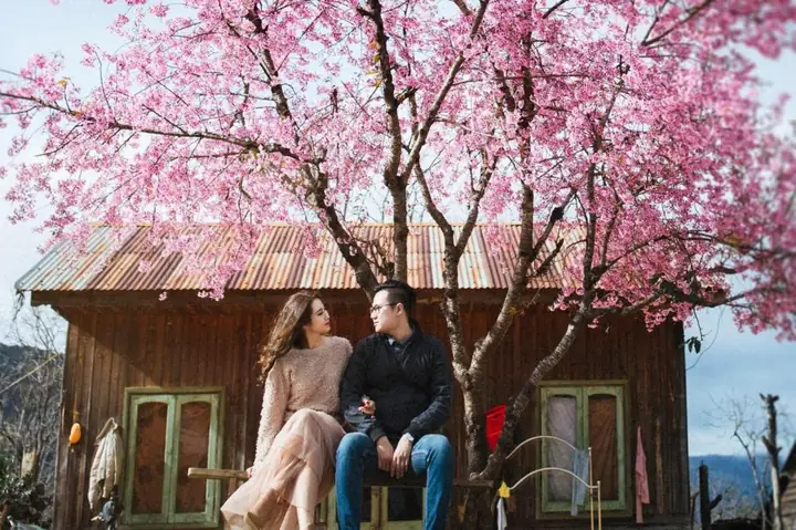 Nhiệt Độ Đà Lạt Tháng 1: Thời Tiết, Cảnh Sắc Và Kinh Nghiệm Du Lịch