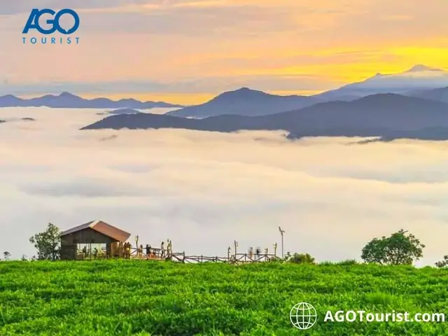 Top 20+ Địa Điểm Du Lịch Đà Lạt Đẹp Nhất: Khám Phá Xứ Sở Ngàn Hoa 2026 Top 20+ Địa Điểm Du Lịch Đà Lạt Đẹp Nhất: Khám Phá Xứ Sở Ngàn Hoa 2026