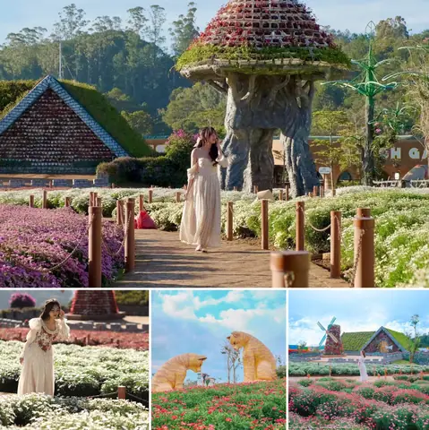 Top 20+ Địa Điểm Du Lịch Đà Lạt Đẹp Nhất: Khám Phá Xứ Sở Ngàn Hoa 2026 Top 20+ Địa Điểm Du Lịch Đà Lạt Đẹp Nhất: Khám Phá Xứ Sở Ngàn Hoa 2026