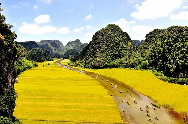 Ninh Bình Mùa Lúa Chín Tháng 10: Có Nên Đi Không & Cẩm Nang Trải Nghiệm Vàng Óng