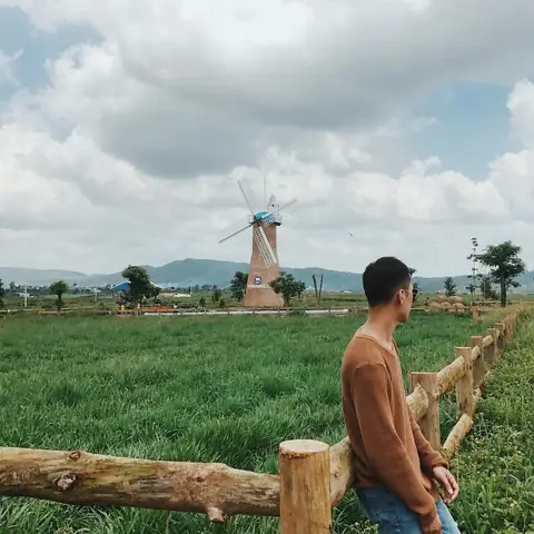 Dalat Milk Farm: Kinh Nghiệm Tham Quan, Di Chuyển Và Khám Phá Nông Trại Bò Sữa Đà Lạt 41 Dalat Milk Farm: Kinh Nghiệm Tham Quan, Di Chuyển Và Khám Phá Nông Trại Bò Sữa Đà Lạt