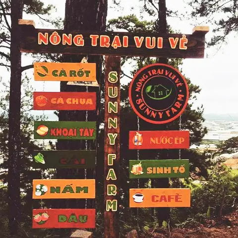 Sunny Farm Đà Lạt: Khám Phá Nông Trại Vui Vẻ, Điểm Sống Ảo "hot Trend" Và "nấc Thang Lên Thiên Đường" Sunny Farm Đà Lạt: Khám Phá Nông Trại Vui Vẻ, Điểm Sống Ảo "hot Trend" Và "nấc Thang Lên Thiên Đường"