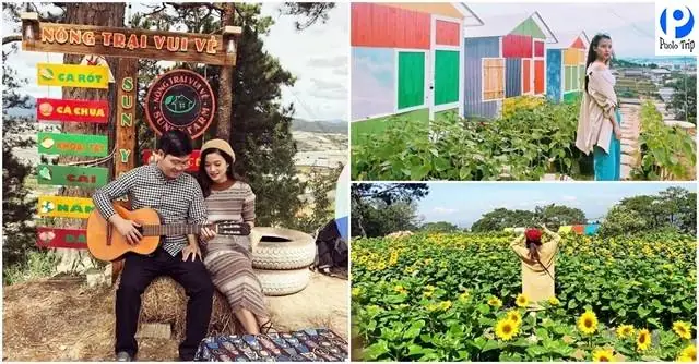 Sunny Farm Đà Lạt: Khám Phá Nông Trại Vui Vẻ, Điểm Sống Ảo "hot Trend" Và "nấc Thang Lên Thiên Đường" Sunny Farm Đà Lạt: Khám Phá Nông Trại Vui Vẻ, Điểm Sống Ảo "hot Trend" Và "nấc Thang Lên Thiên Đường"