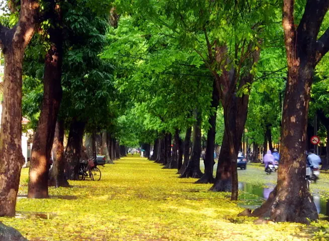 Phố Phan Đình Phùng Hà Nội Thuộc Phường Nào Và Các Thông Tin Liên Quan 37 Phố Phan Đình Phùng Hà Nội Thuộc Phường Nào Và Các Thông Tin Liên Quan