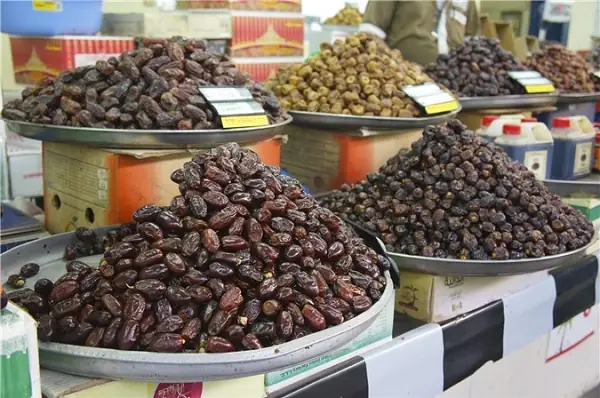 Chà Là Trồng Ở Việt Nam: Các Vùng Trồng, Kỹ Thuật Và Tiềm Năng Kinh Tế