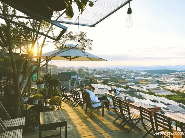 Top 25+ Quán Cafe Đẹp Đà Lạt: Khám Phá Địa Điểm Check-in "xịn Xò" & Lãng Mạn Nhất